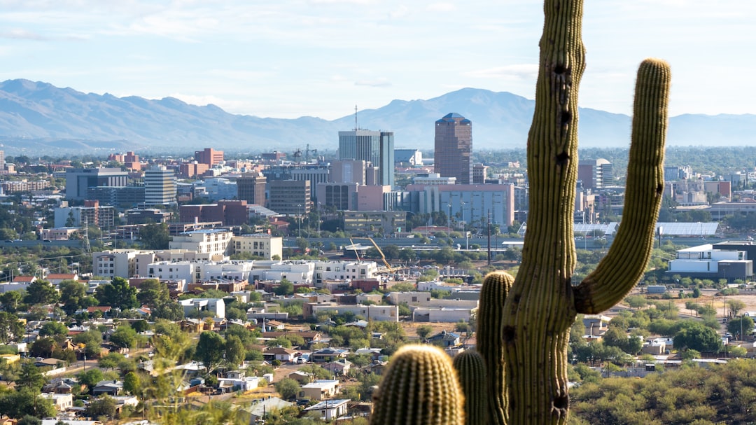 a view of a city with mountains in the background