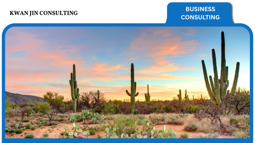 Phoenix is no longer the scrappy underdog of the startup world.